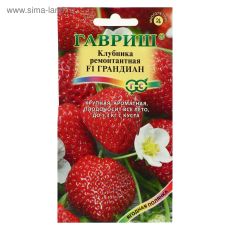 5462703 Семена Земляника 