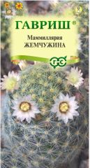 Маммилярия Жемчужины кактус комнатн