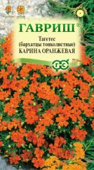 Бархатцы Карина Оранжевая Гавриш