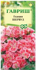 Годеция Шервуд Махровая Гавриш