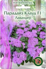 Катарантус Парадайз Клауд F1 Лавандер