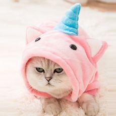 Костюм единорога для кота