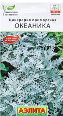 Цинерария Океаника Аэлита
