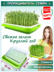 Лоток-Проращиватель семян и микрозелени, 33х25х4см