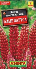 Люпин Алые Паруса