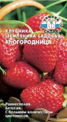 Клубника Огородница F1 СеДек
