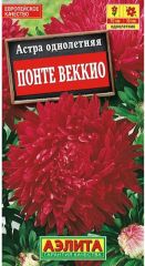 Астра Понте Веккио пионовидная