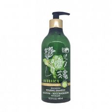 026150 BIO WORLD BOTANICA. Шампунь-восстановление чёрный тмин-бесцветная хна 490мл