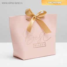 4785004 Пакет подарочный «Best wishes», 19 х 20 х 9 см
