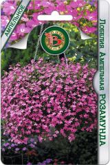 Лобелия ампельная Розамунда