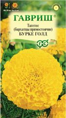 Бархатцы Бурке Голд Гавриш