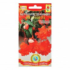 5360332 Семена цветов Бегония 