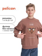 BFN3370 Толстовка для мальчиков Шоколадный(50) Pelican