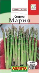 Спаржа Мария Италия