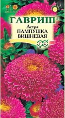 Астра Пампушка Вишневая