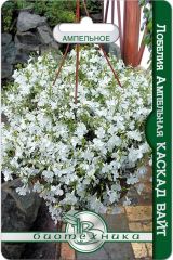 Лобелия ампельная Каскад Вайт