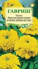 Бархатцы Купидон Лимонно-Желтый Гав