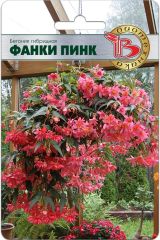 Бегония гибридная Фанки Пинк (ампельная)