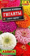 Цинния Гиганты Аэлита