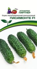 Огурец Пасамонте F1 Партнер