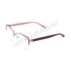 Ralph 6006 C67