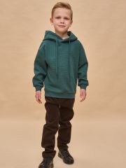 BFNK3363 PELICAN Толстовка Изумрудный