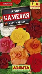 Бегония Камелия Аэлита