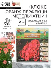 АКЦИЯ! 3 по цене 2! Флокс «Оранж Перфекшн» метельчатый, корневище в пакете с торфогрунтом, р-р I, 2 шт