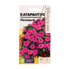 7649630 Семена цветов Катарантус 