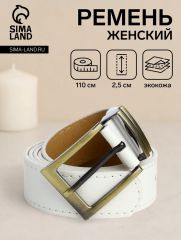 Ремень женский с винтом, 110×2.5 см, пряжка металл, золотистая, чёрный