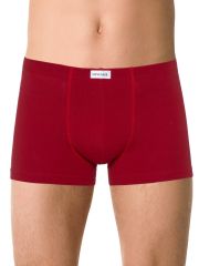 189551 DiWaRi Трусы Dark red