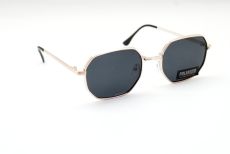 Поляризационные очки 2023 - Polarized 1999 c4 c4
