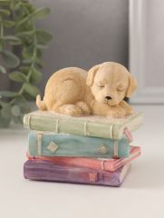 Фигурка полистоун «Щенок спит на книгах», 9×7×8.5 см