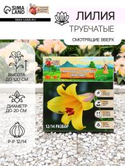 АКЦИЯ! 3 по цене 2! Лилии Трубчатые смотрящие вверх Yellow Planet, луковица в пакете с перфорацией, р-р 12/14, 2 шт