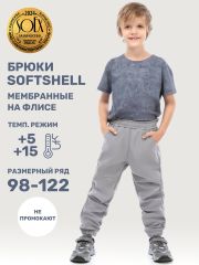 499567 NIKASTYLE Брюки серый