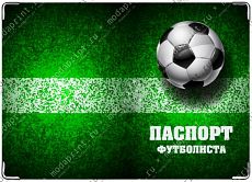 Паспорт футболиста