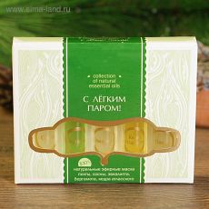 577431 Набор эфирных масел "С лёгким паром", 5 шт: пихта, сосна, эвкалипт, бергамот, кедр х 2 мл