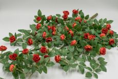Букет кустовая розочка ампельная 