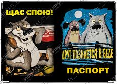 спою