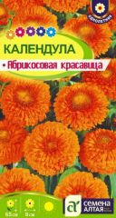 Календула Абрикосовая Красавица Сем