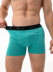 4476 (1200) Мужские трусы Berrak Бирюзовый Berrak