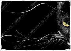 Черная кошка. Black cat