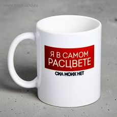 4609331 Кружка «Я в самом расцвете…», 300 мл