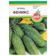 ЦЕНА ЗА 2 ШТ! 3298124 Семена Огурец 