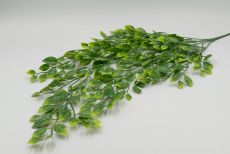Куст фикус пластм. ампельный 