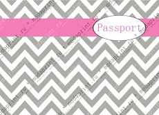 Passport