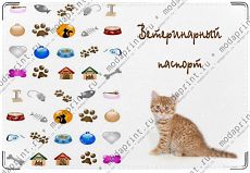 Рыжий котенок.