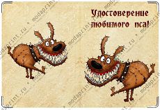 Любимый пёс