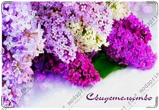 Сирень.