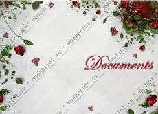documents